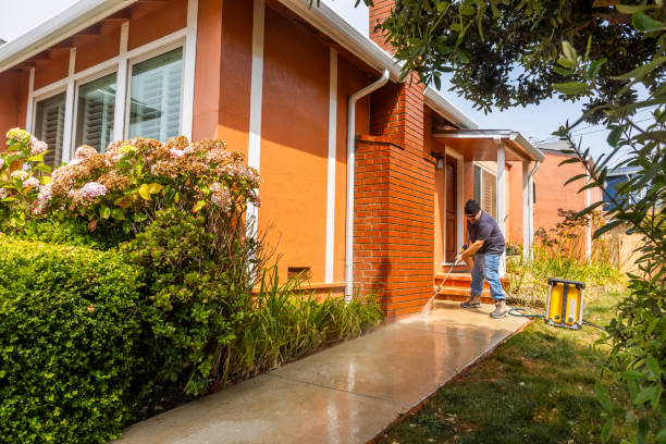 Best Affordable Power Washing  in Turtle Creek, PA